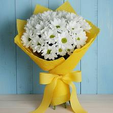 Букет цветов из:  Хризантемы в Захарово Раменского района