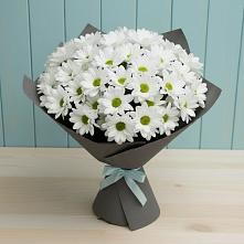 Букет цветов из:  Хризантемы #REPLACE_PRED# Захарово Раменского района