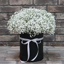 Цветочная композиция из Гипсофила в шляпной коробке #REPLACE_PRED# Захарово Раменского района